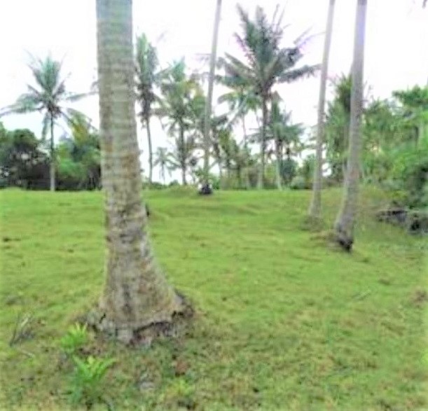 fltabanan44